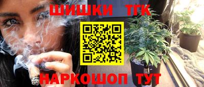 гашик Новозыбков
