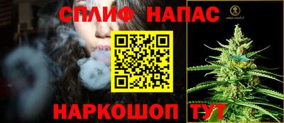 стаф Новокубанск