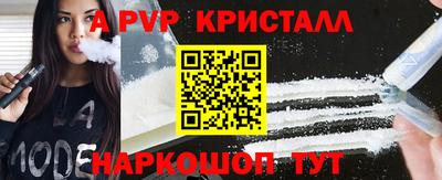 стаф Новокубанск