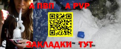 гашик Новозыбков