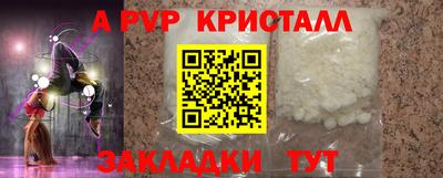 гашик Новозыбков