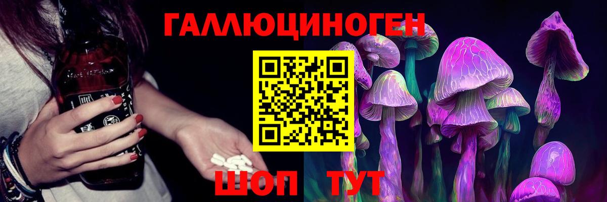 Псилоцибиновые грибы ЛСД Сосновый Бор